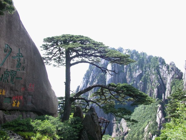 中國最美的100個地方 - 樂園 - 高山流水