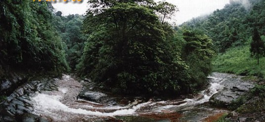 三岔河景區風景圖