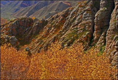 內蒙古黃花溝風景