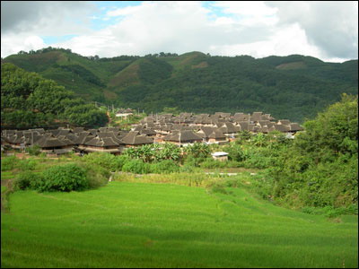 基諾山寨景區簡介