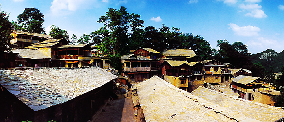 鎮(zhèn)山生態(tài)博物館