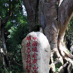 廣山景頗生態(tài)園