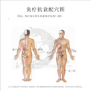 蒙古族醫藥的外敷療法和灸法