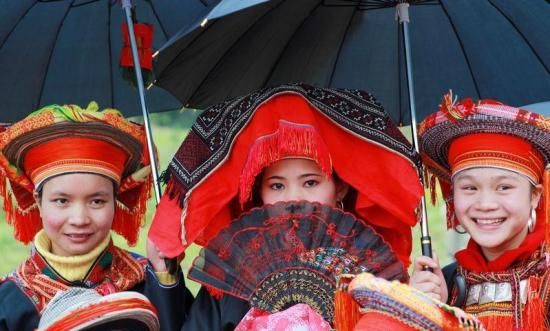 盤頭平紅瑤 (圖/ 愛睡覺的大仙兒 新浪博客)