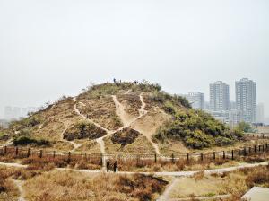 秦始皇父親陵墓如“孤島” 群眾竟不知為遺產