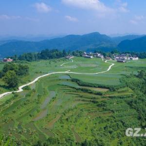 貴州云頂：夏日草原景色美