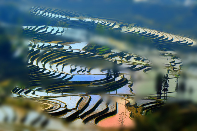 yuanyang rice terraces