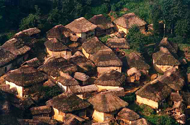 hani mushroom house