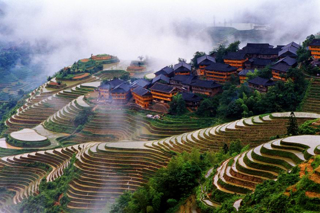 jinkeng rice terraces