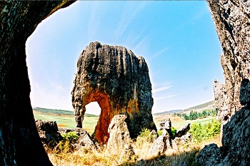 stone forest