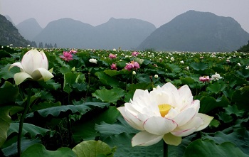 puzhehei scenic resort